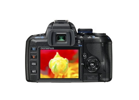 Olympus E-450: Доступное зеркальное качество Olympus E-450: Доступное зеркальное качество