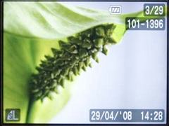 Обзор фотоаппарата Canon Digital IXUS 860IS