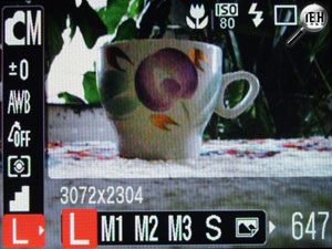 Обзор фотоаппарата Canon IXUS 75
